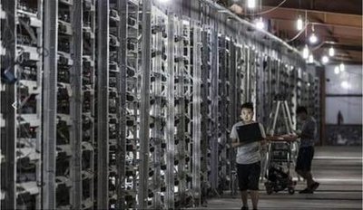 Large scale mining farm showcasing efficient operations and power solutions